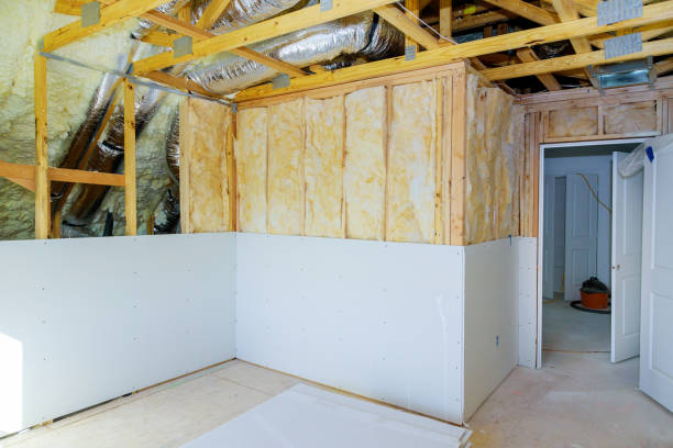 Best Eco-Friendly Insulation in Santa Rita Ranch, TX