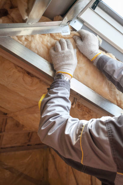 Best Insulation Maintenance and Repair in Santa Rita Ranch, TX