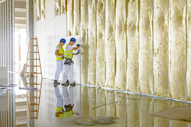 Best Specialized Insulation Services in Santa Rita Ranch, TX